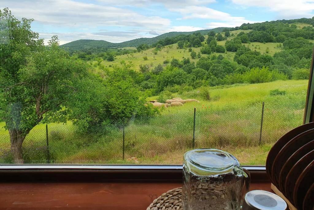 Luxury Villa Bella Lyaskovo Village 外观 照片
